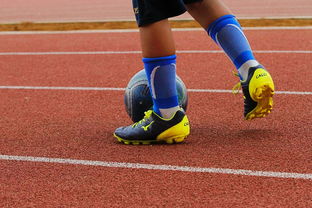 开云app下载地址-足球产业链：从青训到转播的全产业生态，足球产业主要经营内容